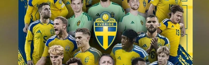 开云平台中国-来自前辈的认可，伊布祝贺瑞典进军世界杯：伙计们，美国见