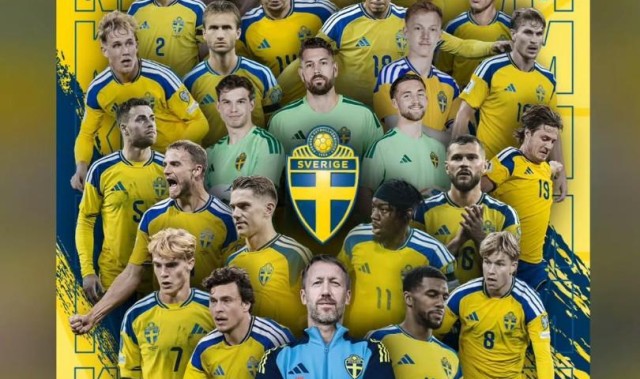 开云平台中国-来自前辈的认可，伊布祝贺瑞典进军世界杯：伙计们，美国见